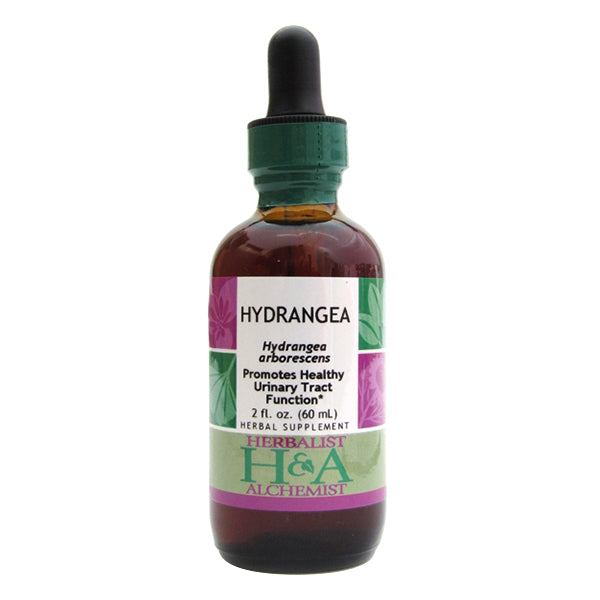 Hydrangea Extract (Экстракт гортензии)