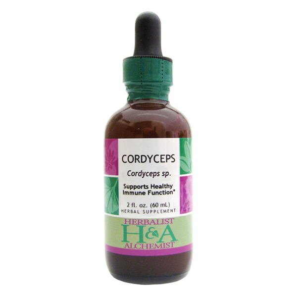 Cordyceps Extract - Karim Chubin