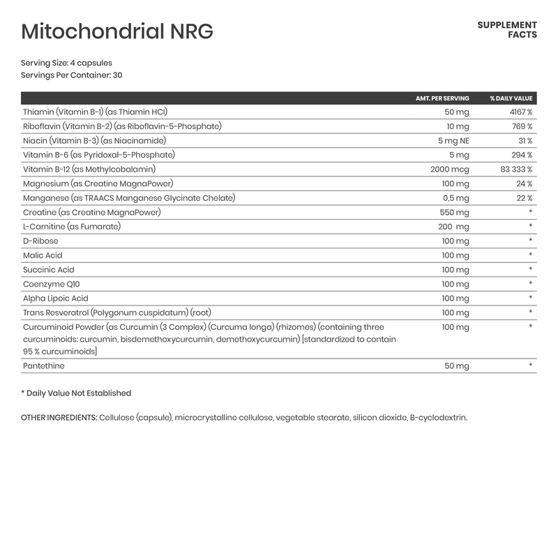 Mitochondrial NRG - Karim Chubin