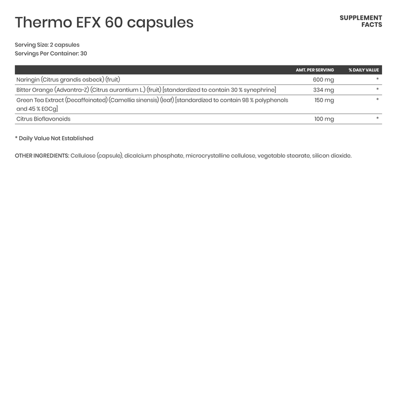 Thermo-EFx - Karim Chubin