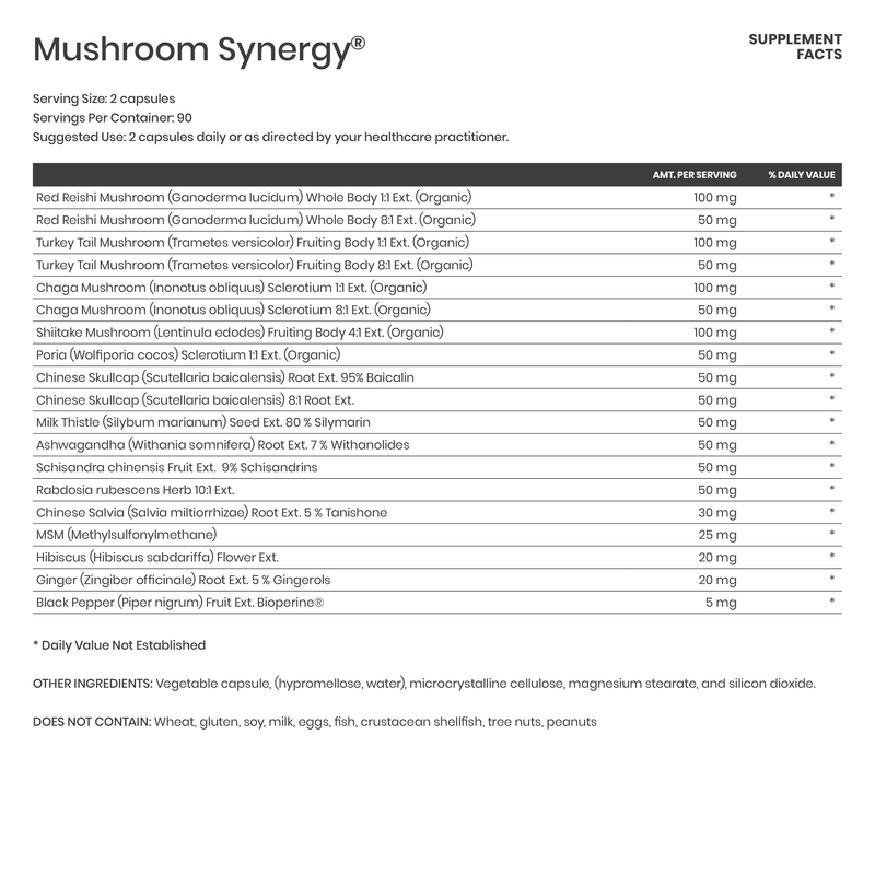 Mushroom Synergy - Karim Chubin