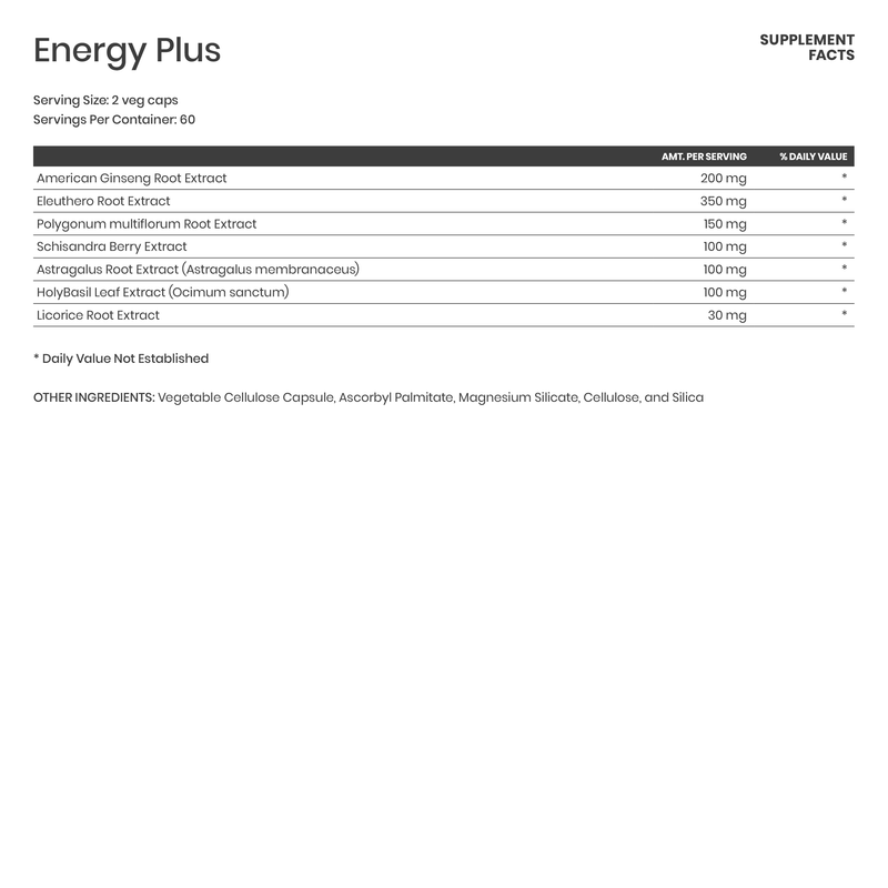 Energy Plus - Karim Chubin